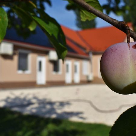 Napfeny Apartman Мако Экстерьер фото