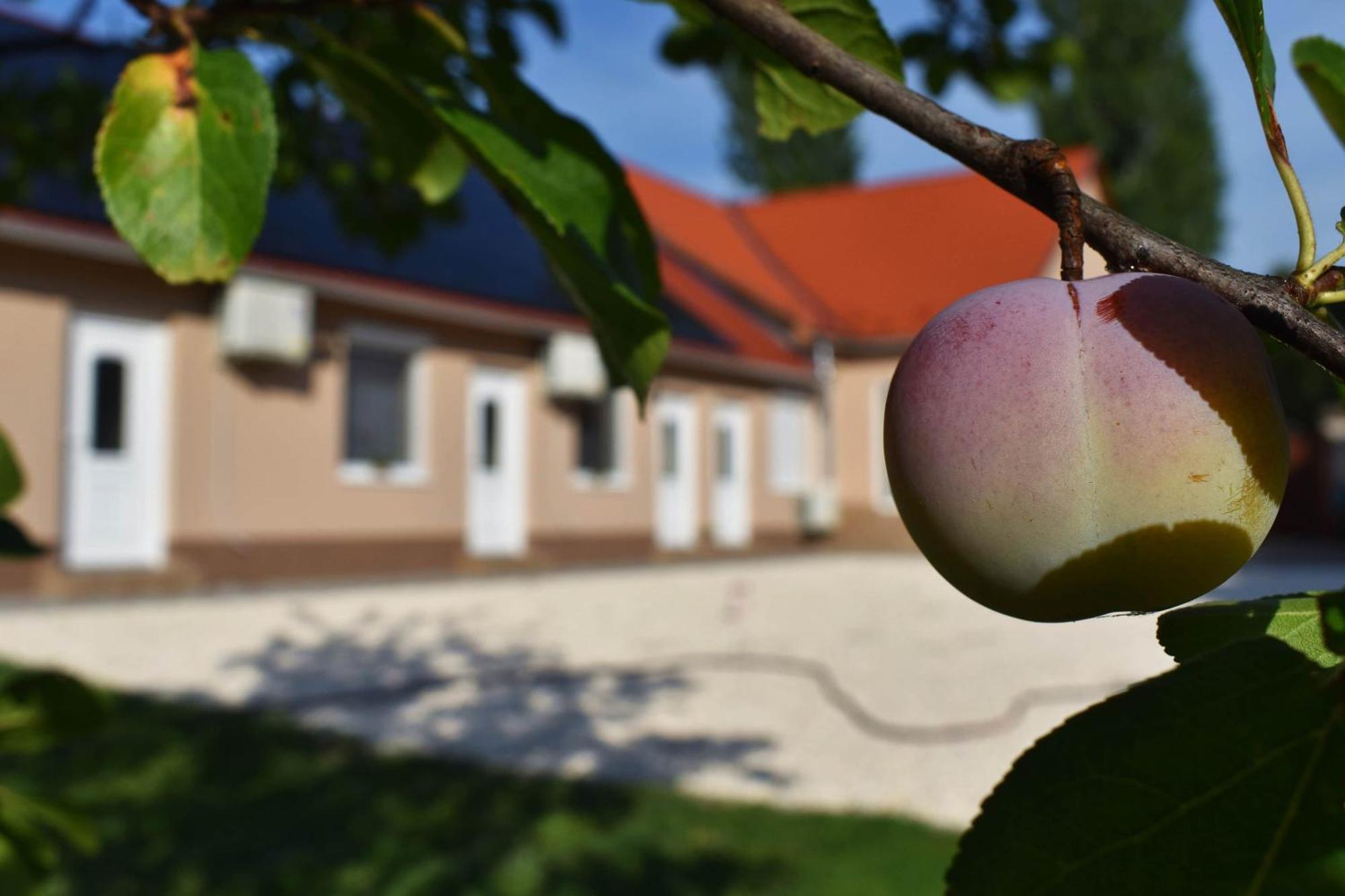 Napfeny Apartman Мако Экстерьер фото